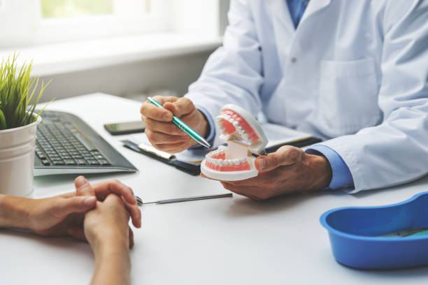 Professional Holistic Dental Care Services in Englewood, OH